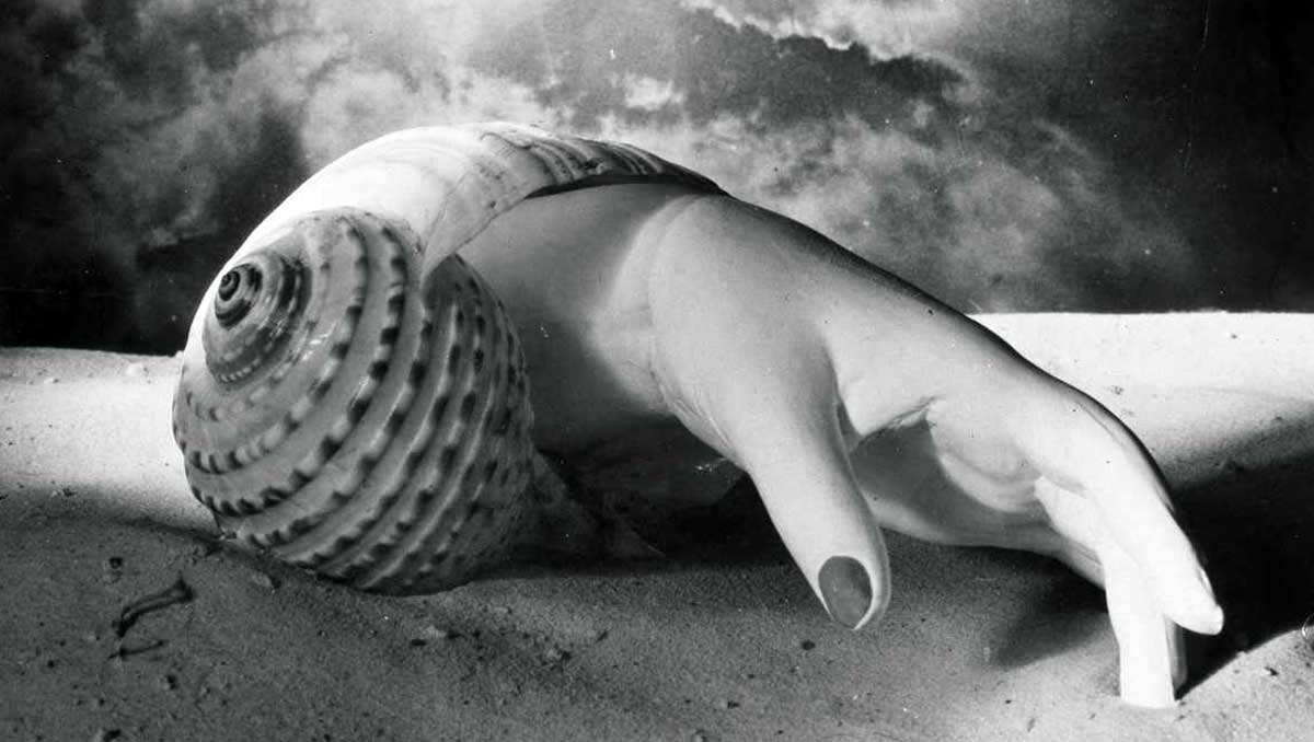 maar hand shell