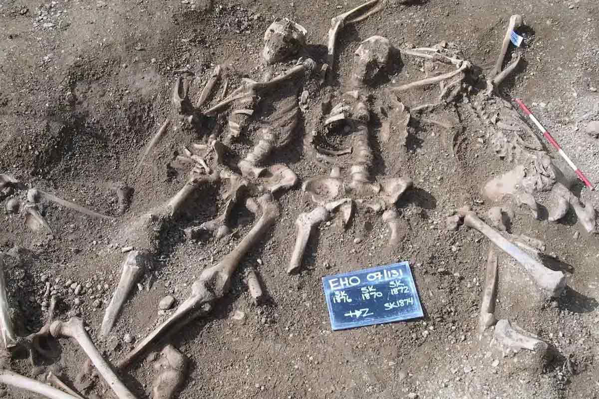 massacred vikings oxford