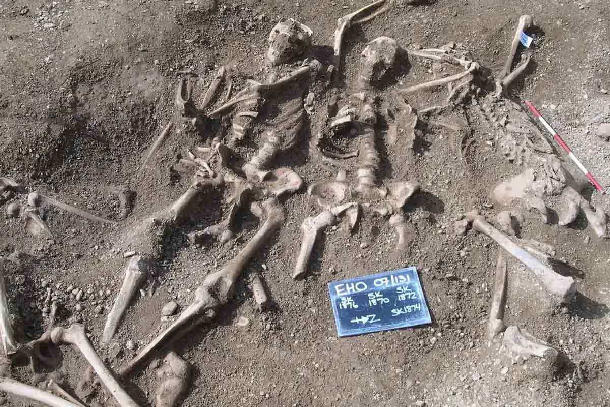 massacred vikings oxford
