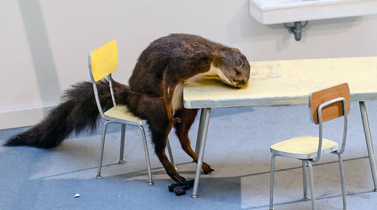 maurizio cattelan squirrel installation