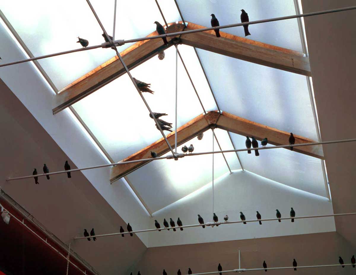 maurizio cattelan tourists installation