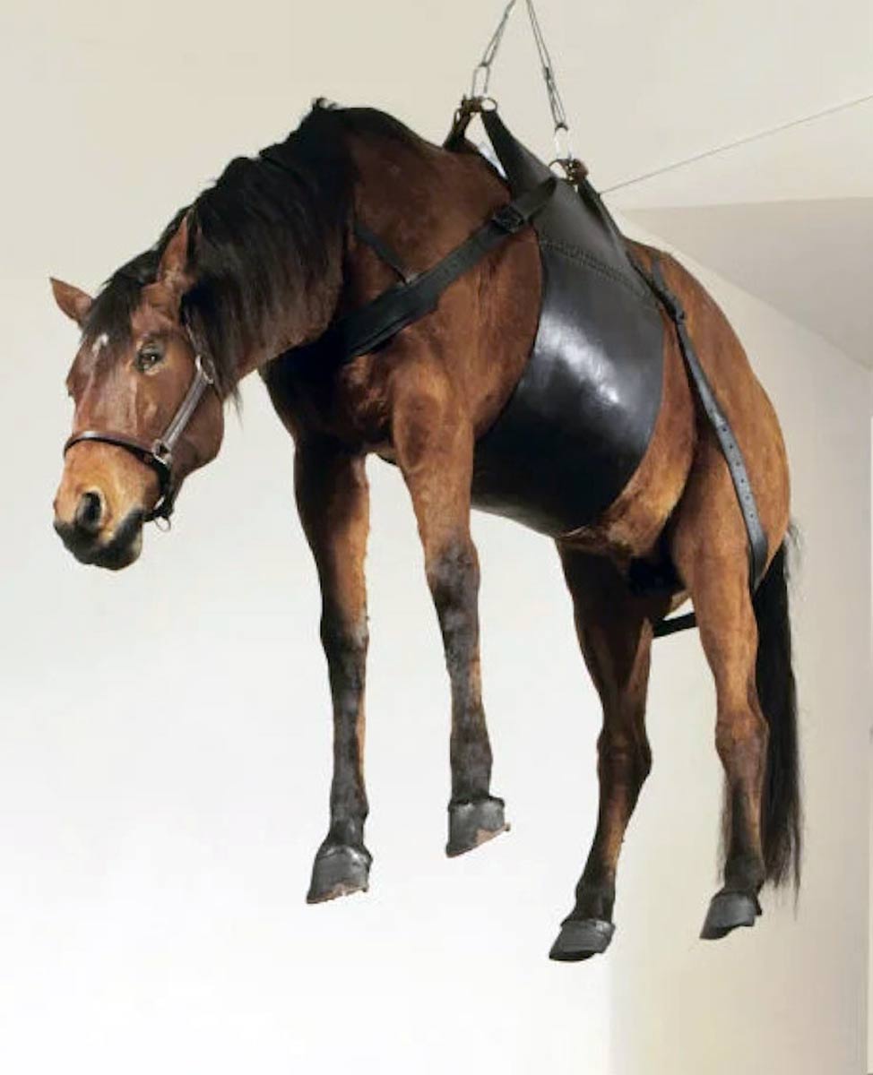 maurizio cattelan trotsky installation