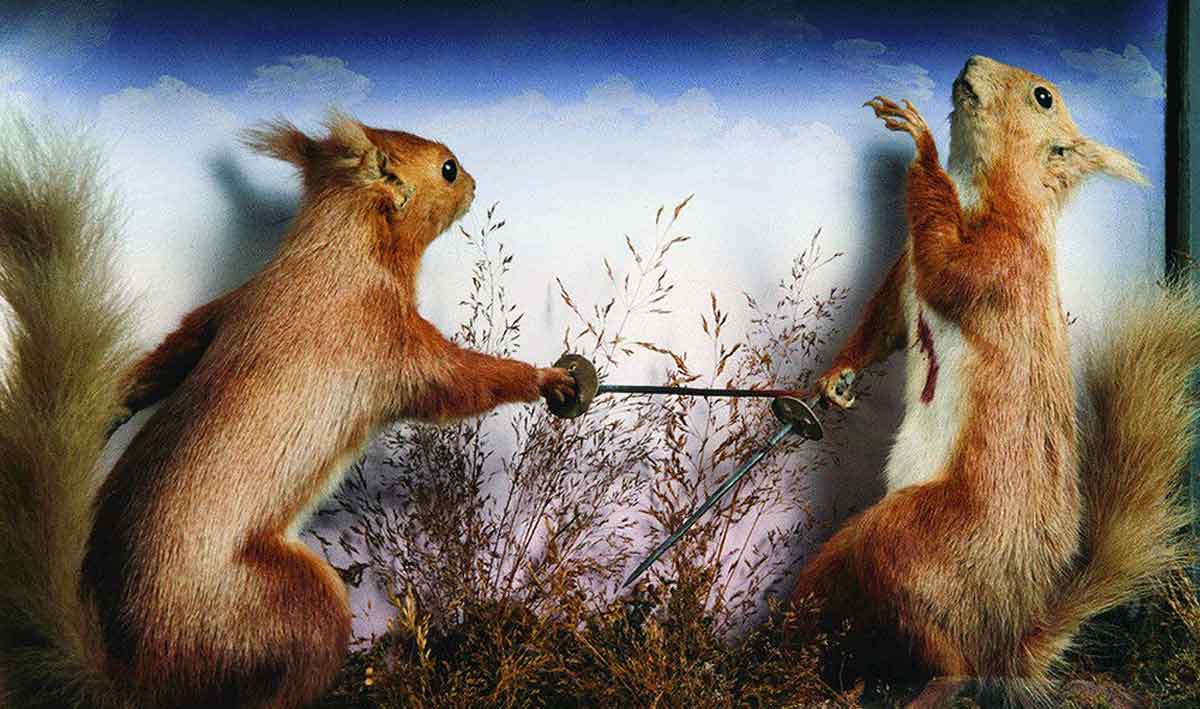 potter squirrels taxidermy