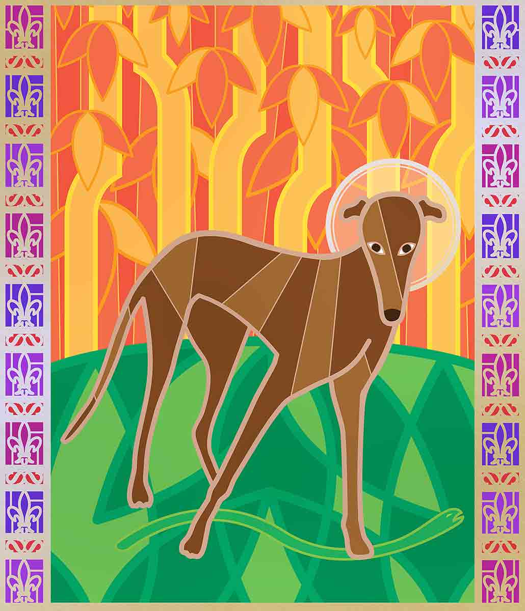 saintly dog