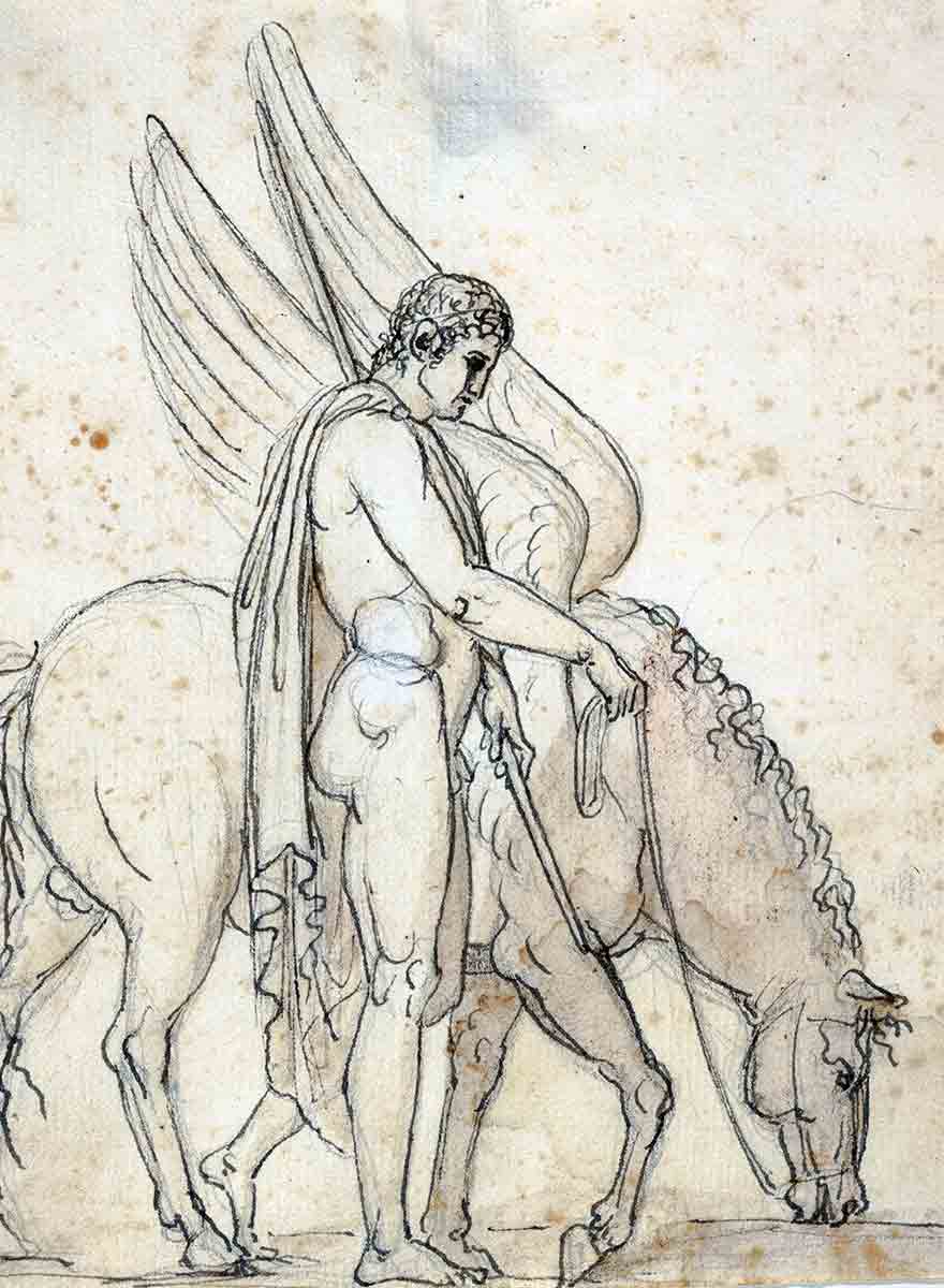 thorvaldsen bellerophon pegasus drawings