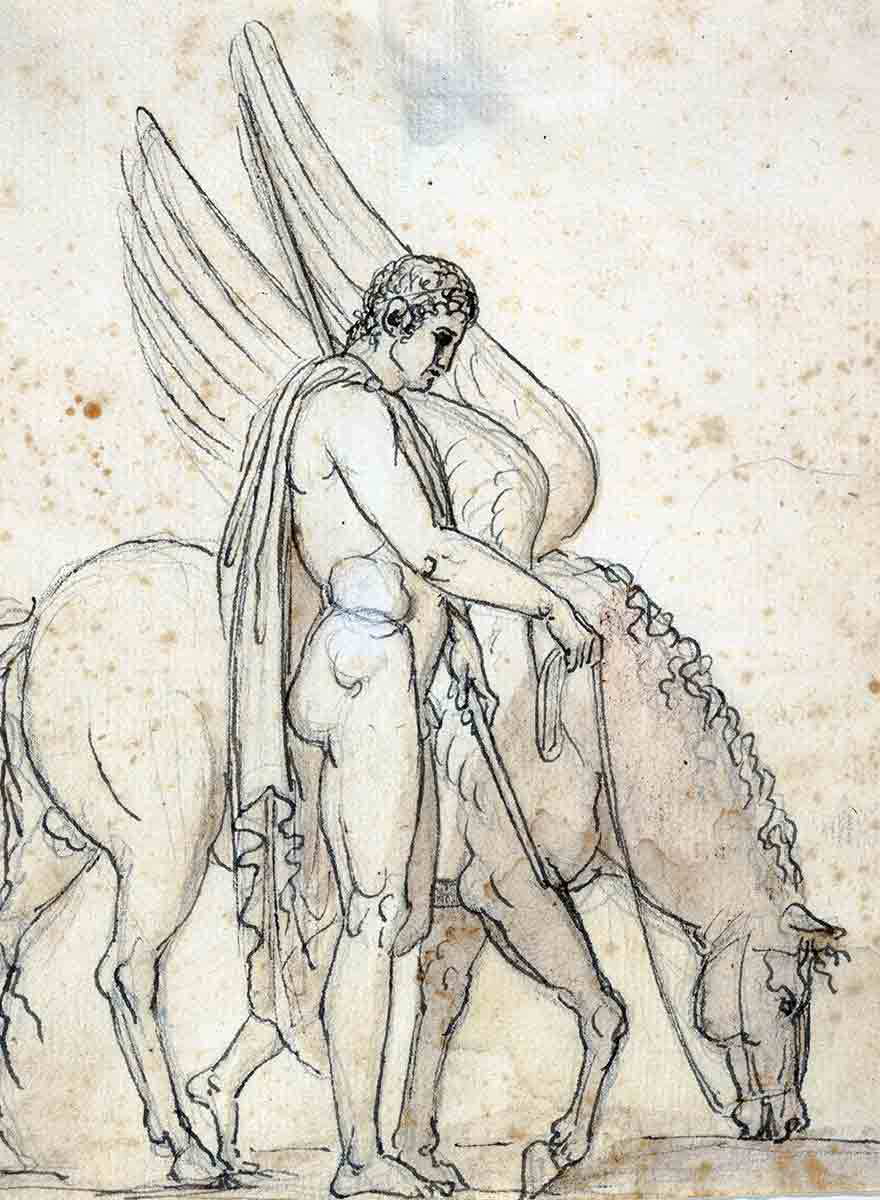 thorvaldsen bellerophon pegasus drawings