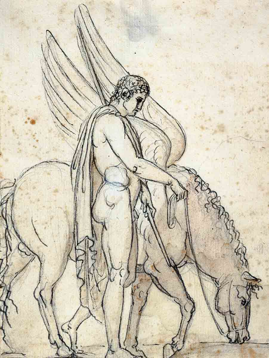 thorvaldsen bellerophon pegasus drawings