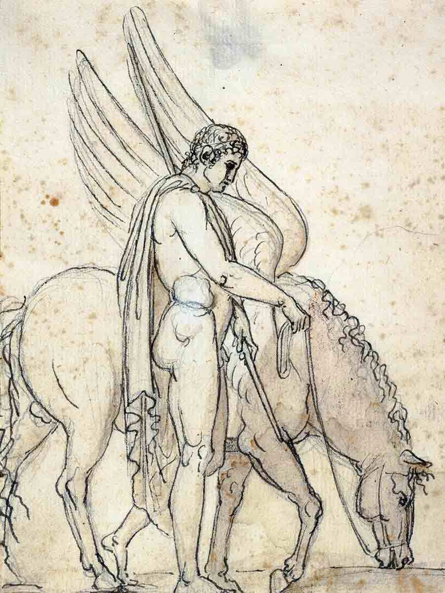 thorvaldsen bellerophon pegasus drawings