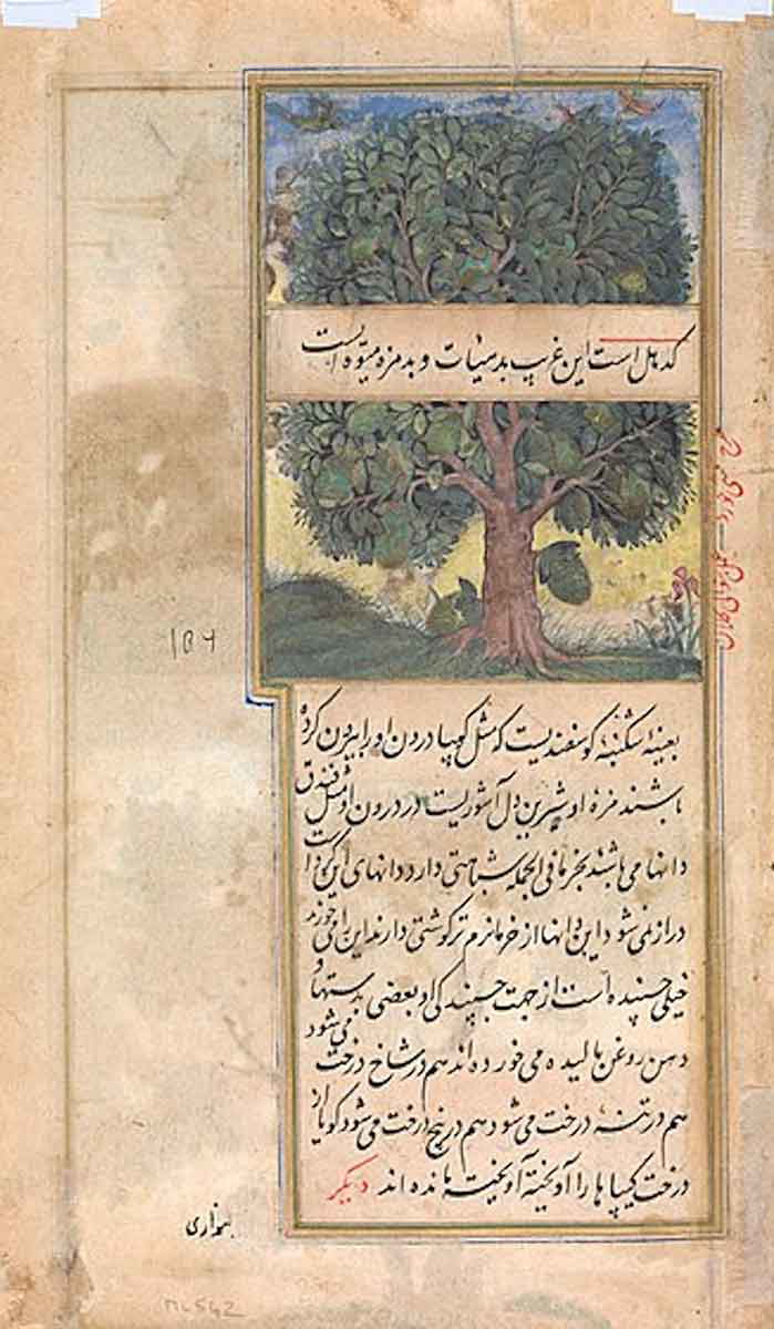 three trees of india mughal dynasty painting