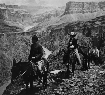 1906 tourists on mules overlooking Grand Canyon