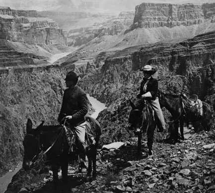 1906 tourists on mules overlooking Grand Canyon
