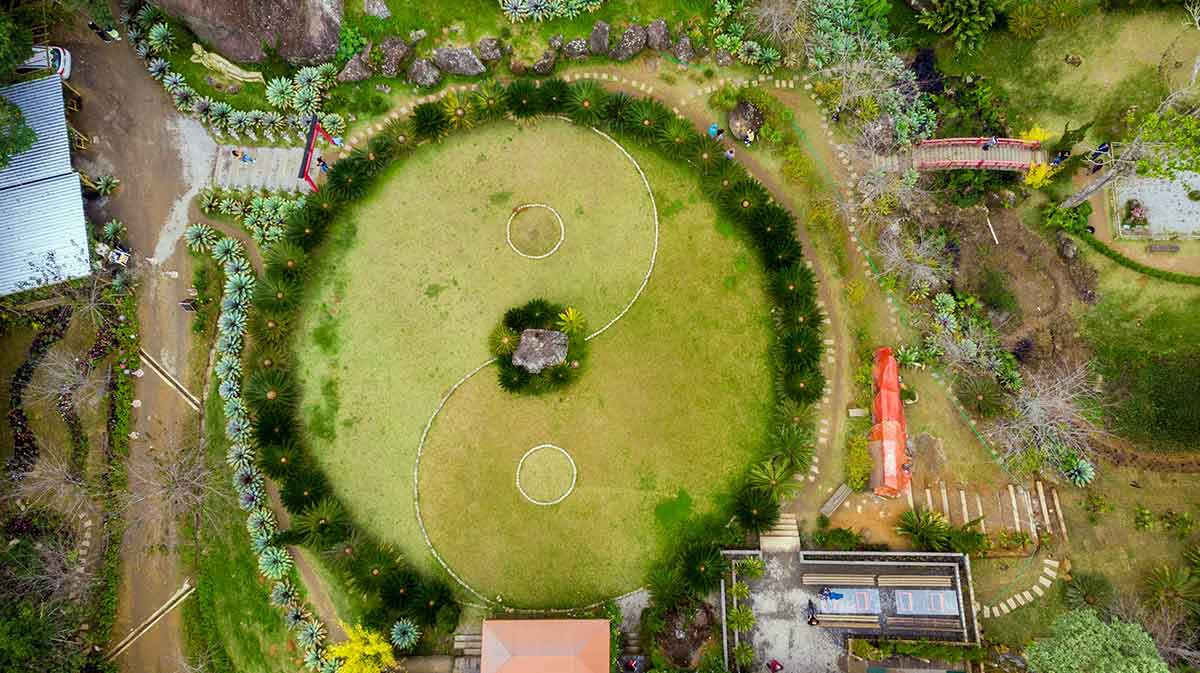 yin yang garden