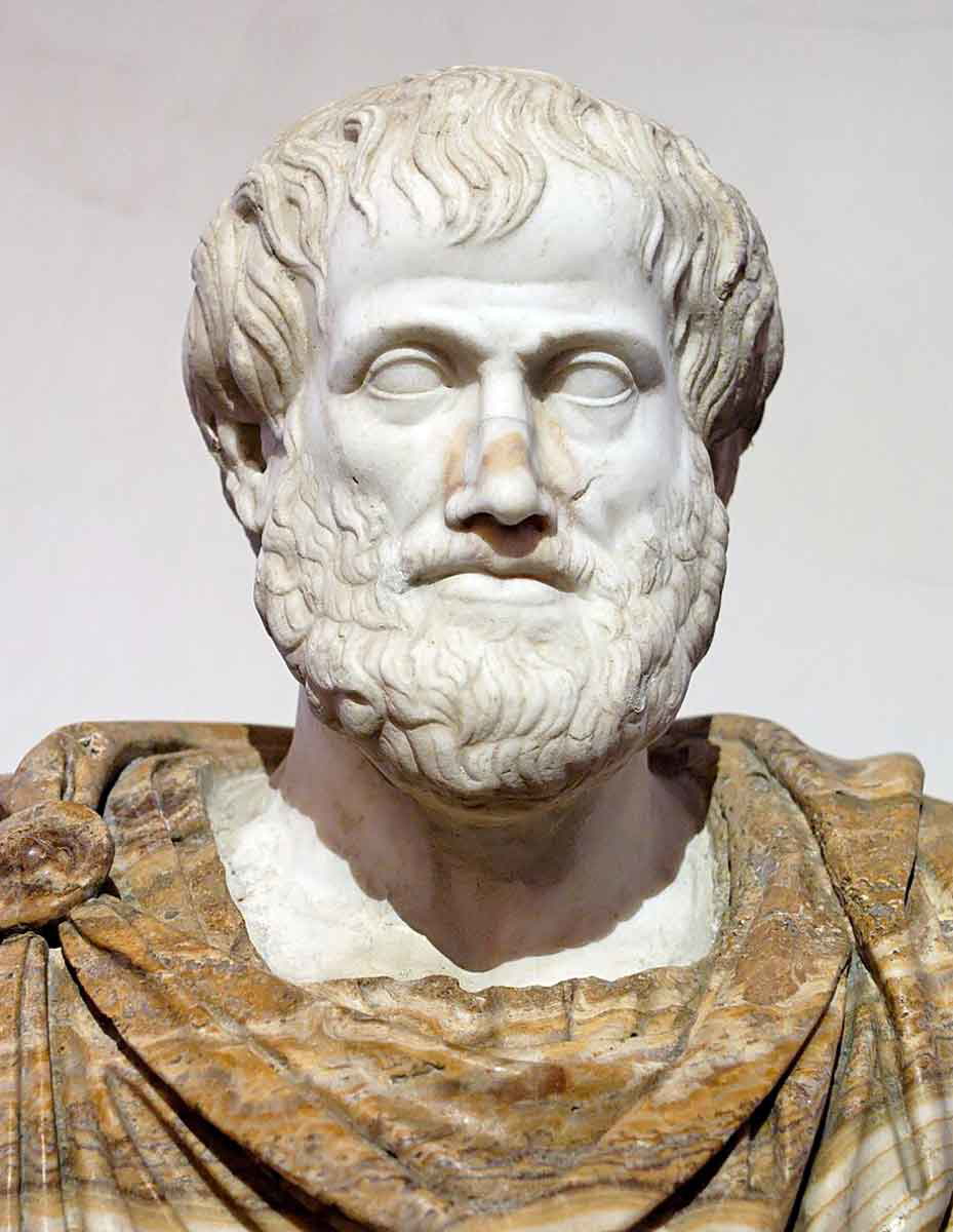 Aristotle Common Sense