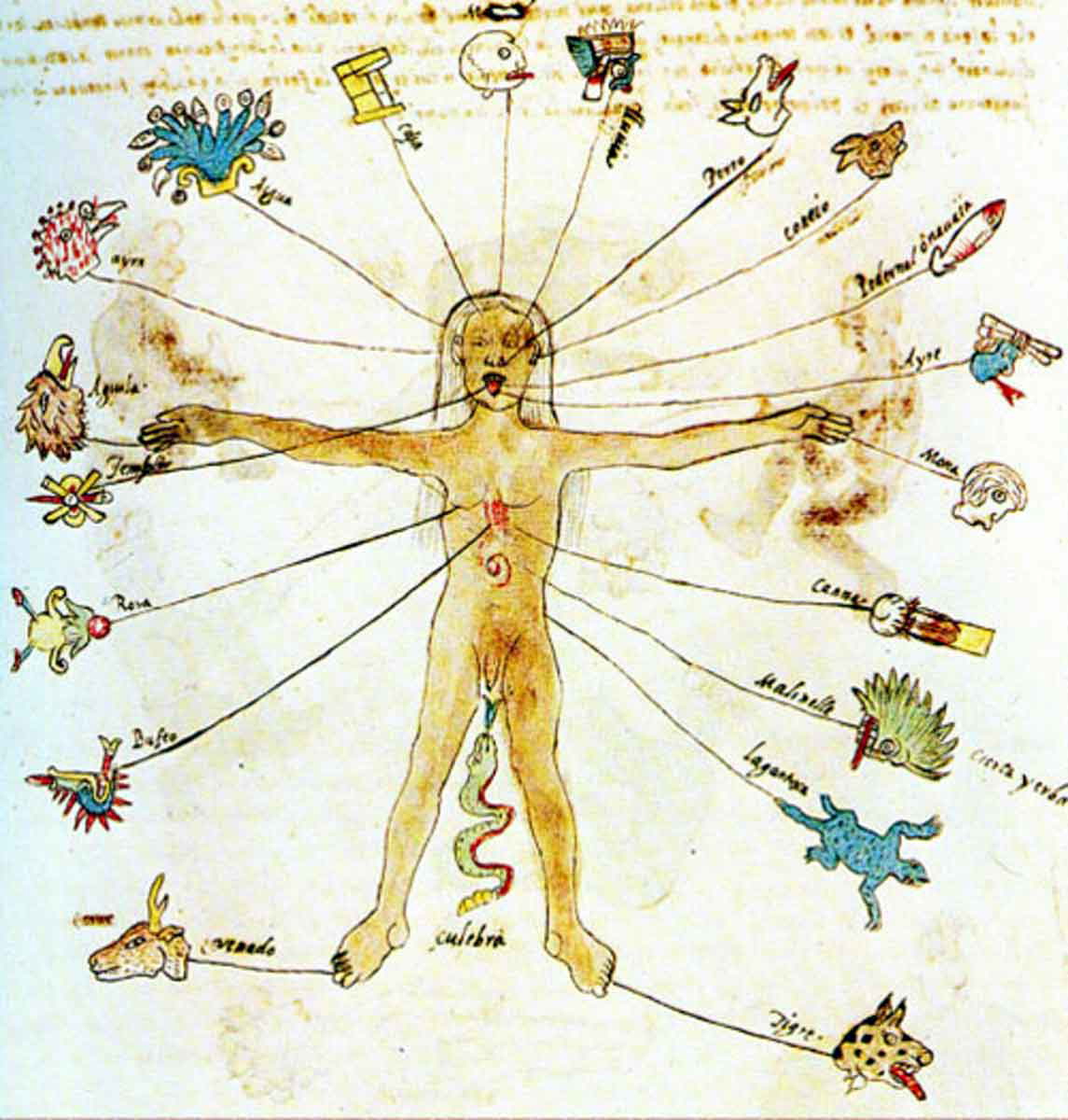 Human body form calendar signs