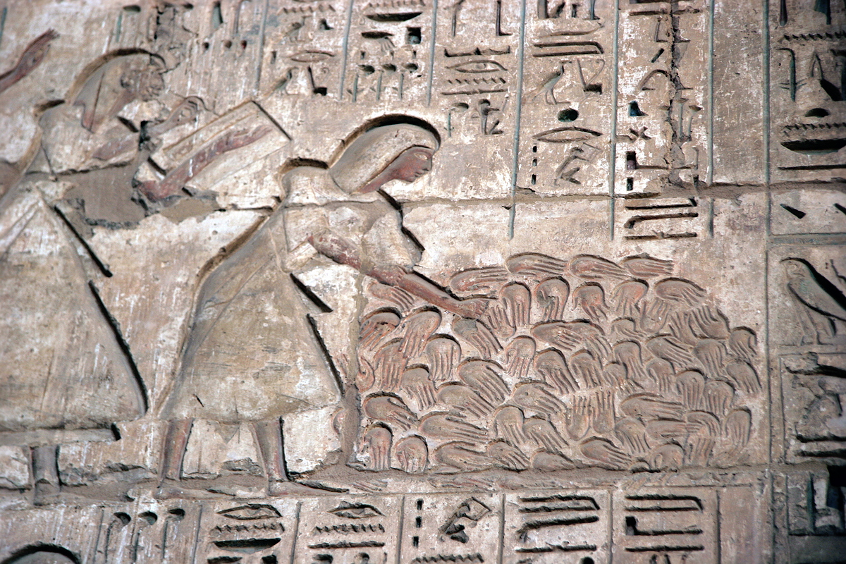 Relief from Medinet Habu showing the hands of defeated enemies. Source: Wikimedia Commons