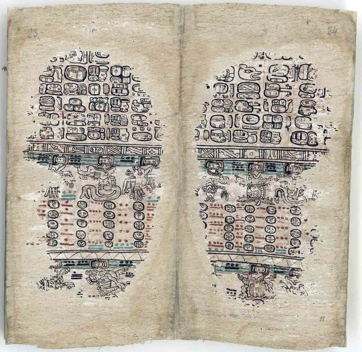 codex paris