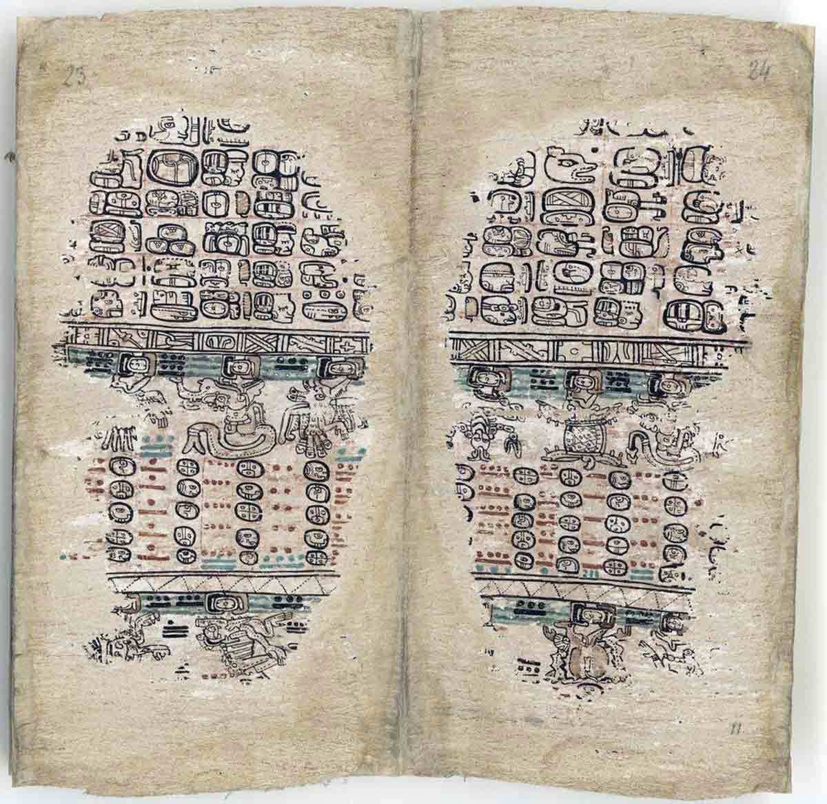 codex paris