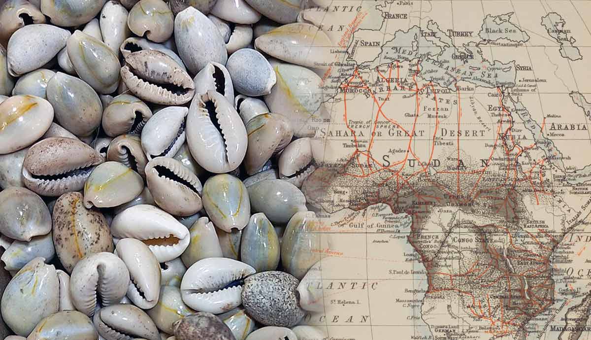 Cowrie shells over vintage Africa map