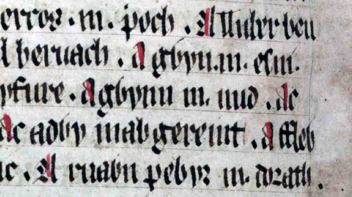culhwch olwen folio 201v gwyn nudd