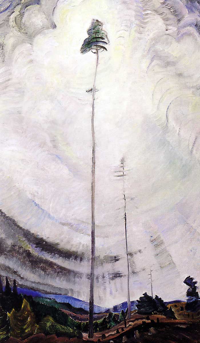 emily carr scorned as timber painting