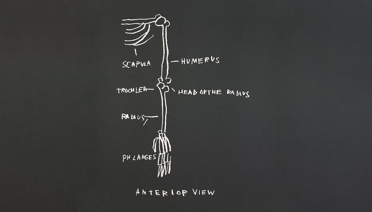 famous artist basquiat anatomy print