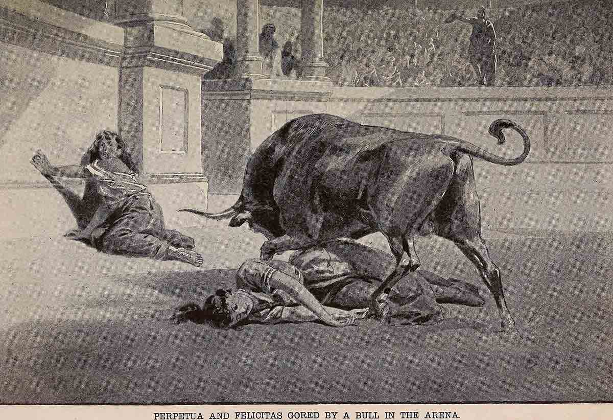 foxes martyrs raging bull