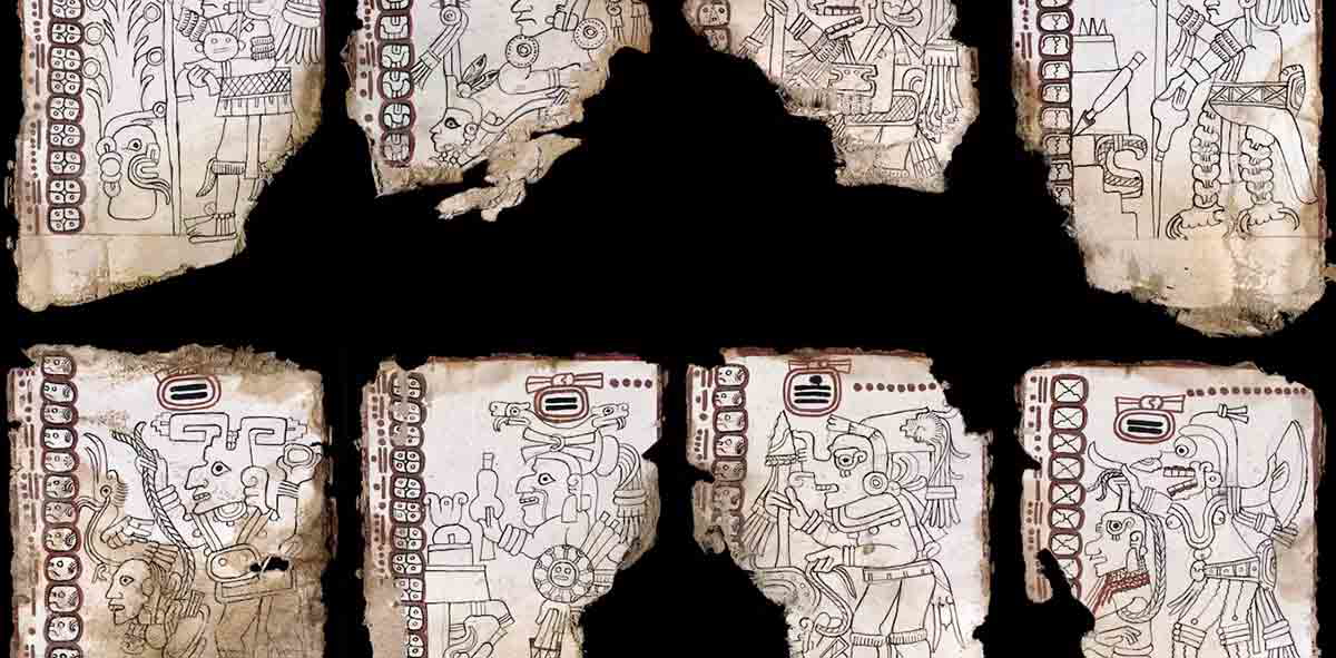 fragments codex grolier