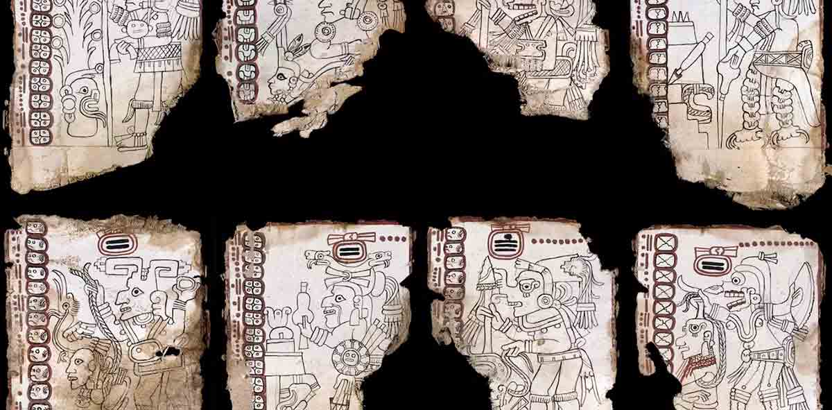 fragments codex grolier