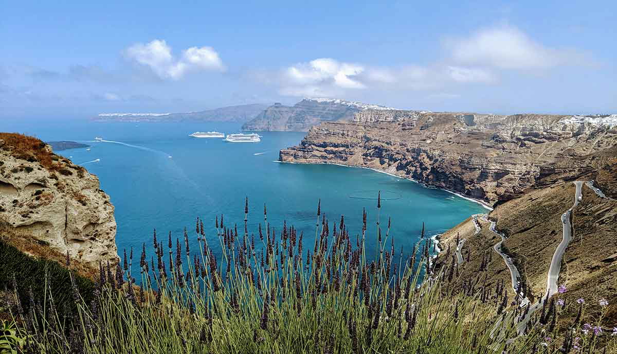 grass and flowers on santorini
