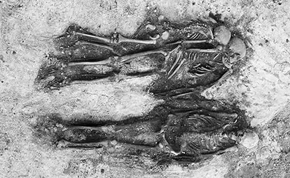 grave slaves norway human sacrifice