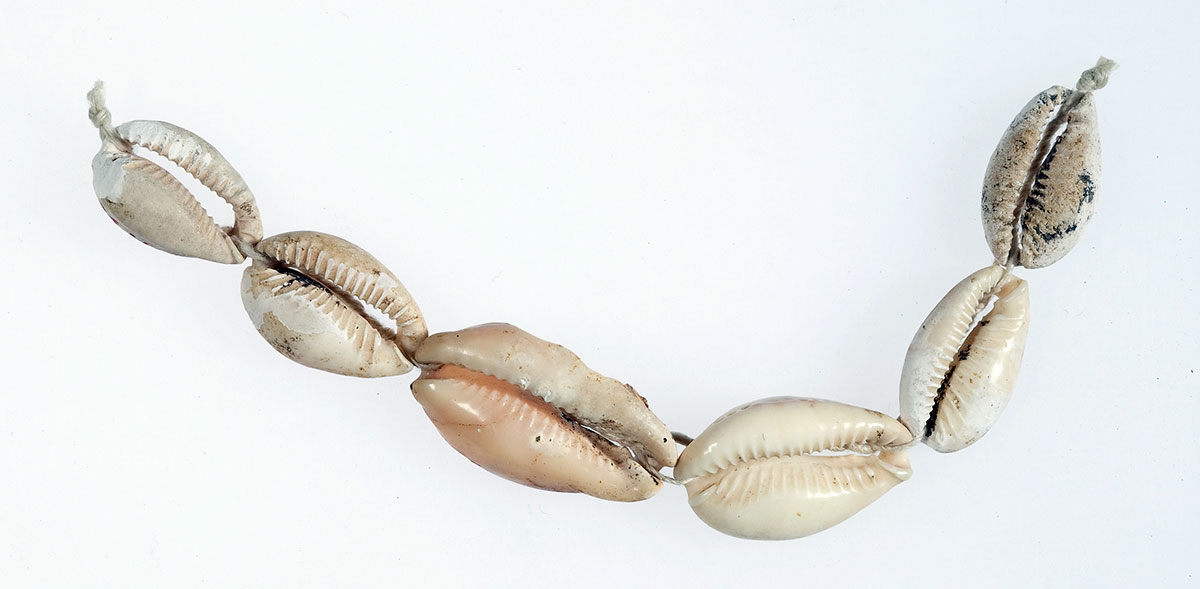 hepy string of cowrie shells 1900 bc