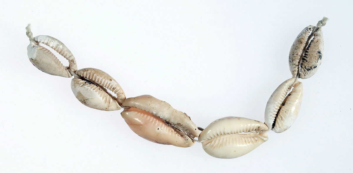 hepy string of cowrie shells 1900 bc