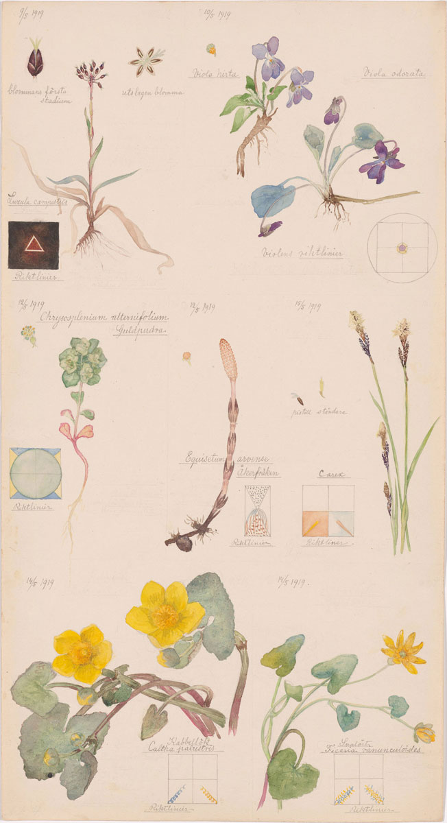 hilma af klint nature painting