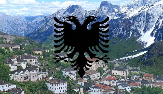 Albanian eagle over mountain town landscape