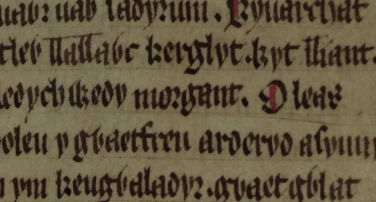 jesus college ms 111 folio 141r morgan mawr sadyrnin