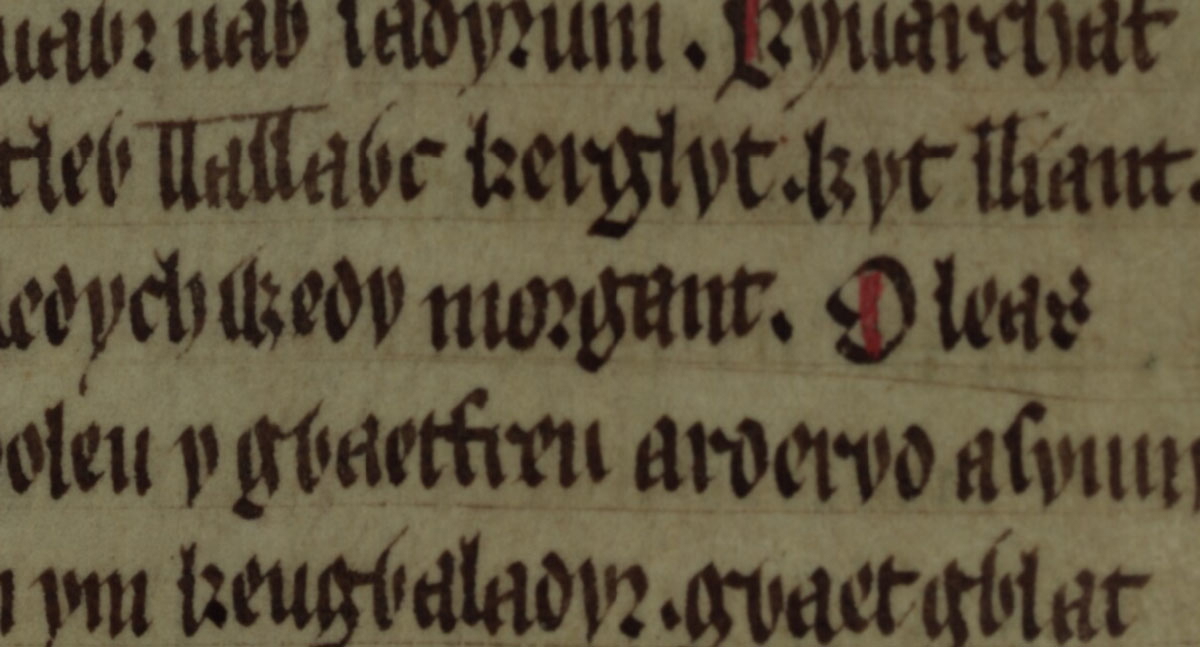 jesus college ms 111 folio 141r morgan mawr sadyrnin