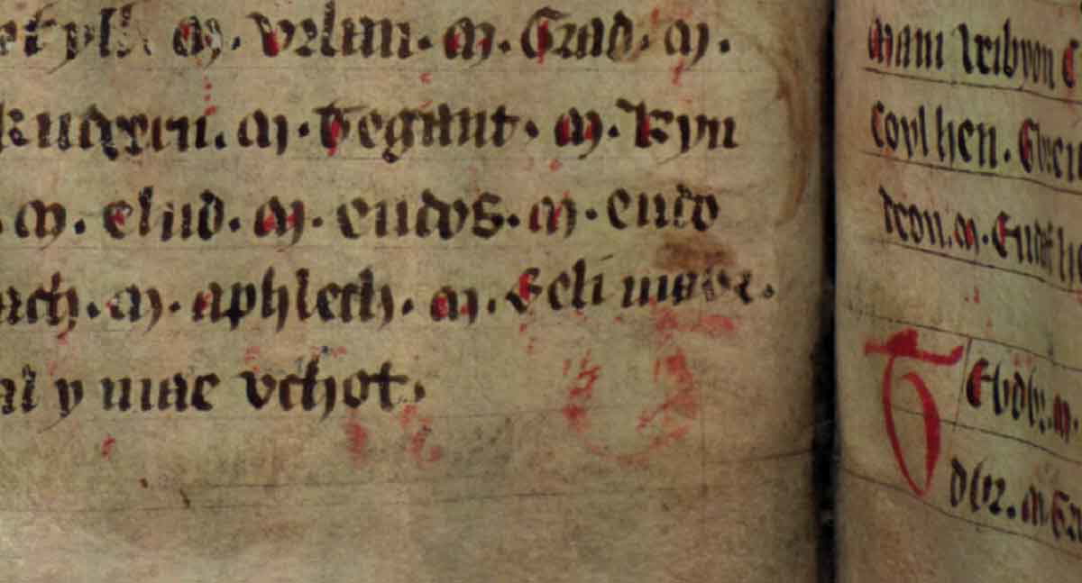 jesus college ms 20 genealogies folio 34v beli mawr