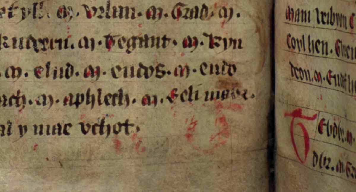 jesus college ms 20 genealogies folio 34v beli mawr