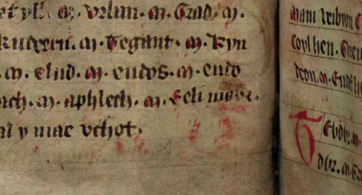 jesus college ms 20 genealogies folio 34v beli mawr