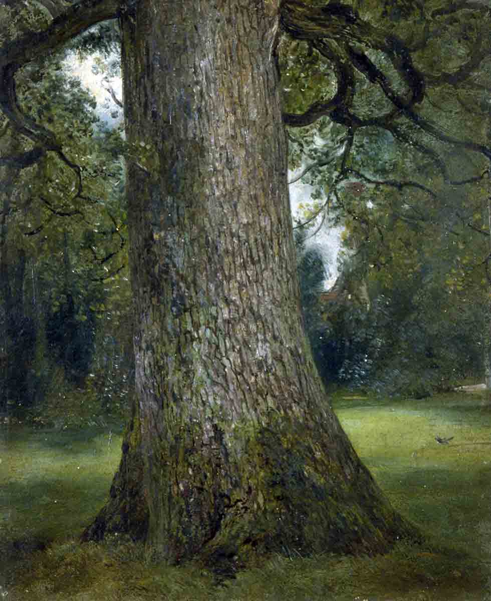 john constable elm tree painting