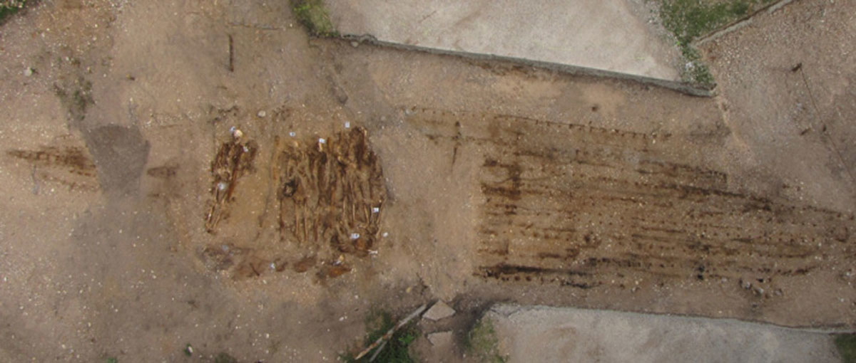 large viking ship archaeology tallinn