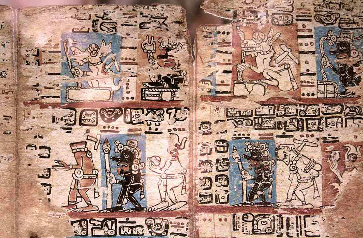 maya madrid codex