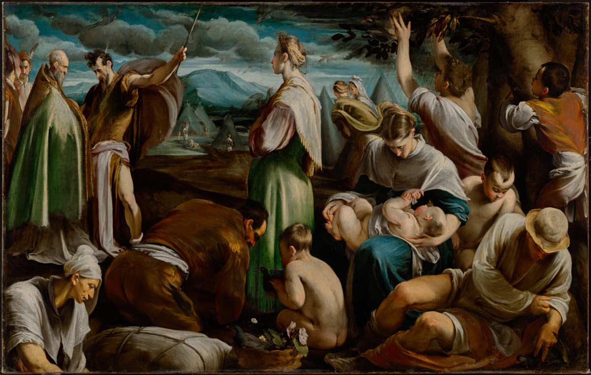 miracle quails money in the bible