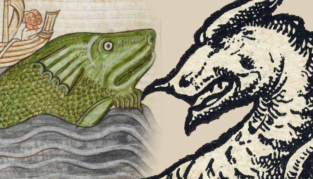 Medieval sea monsters and dragons illustration