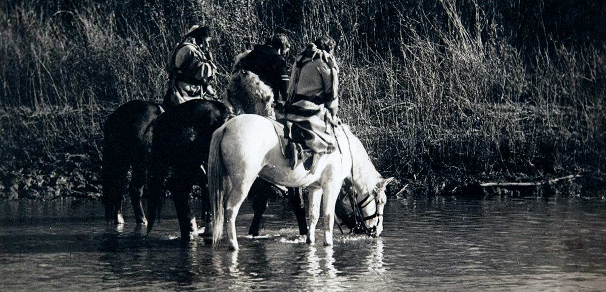 native ameican horses