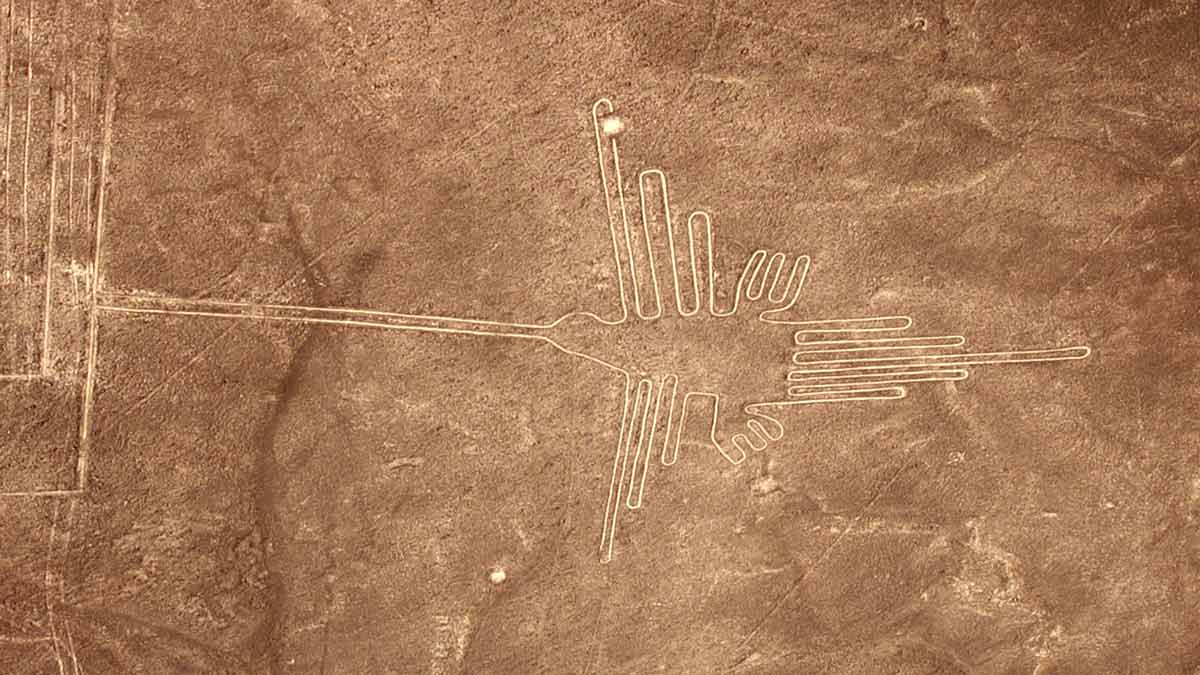 nazca hummingbird glyph