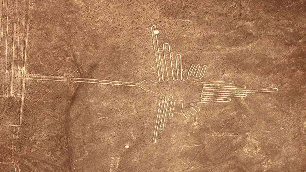 nazca hummingbird glyph