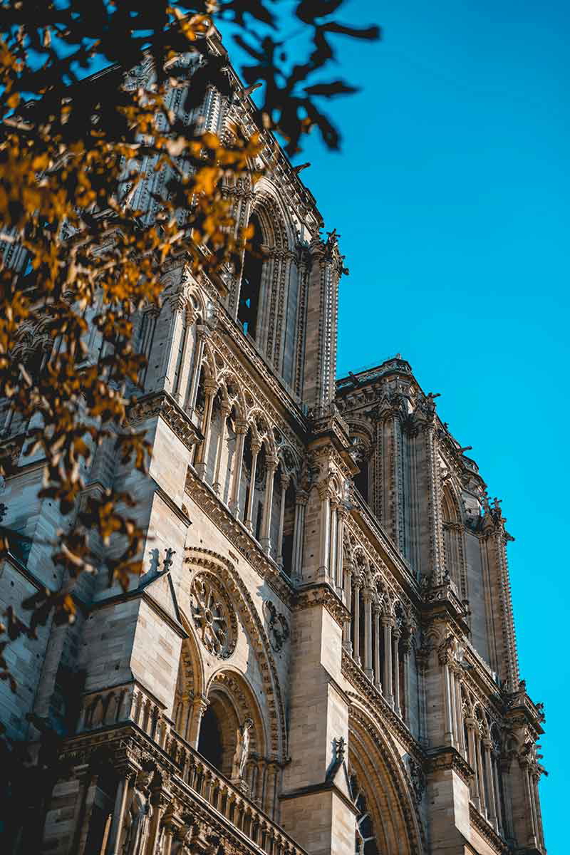 notre dame in autumn