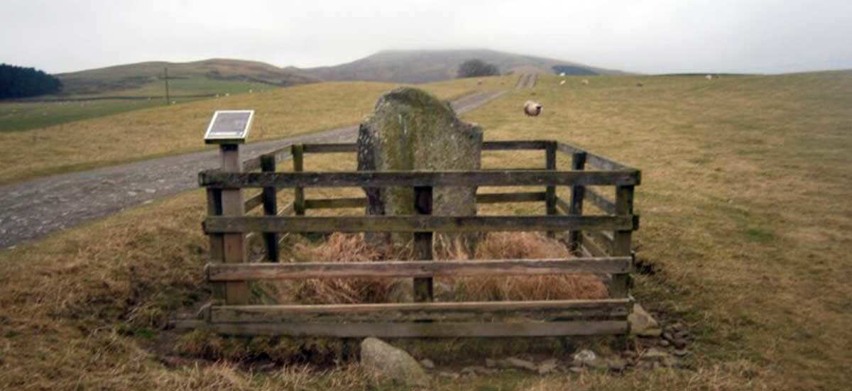 nudus liberalis stone