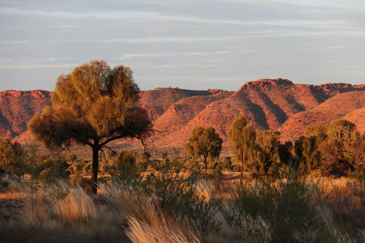 outback australia sunset